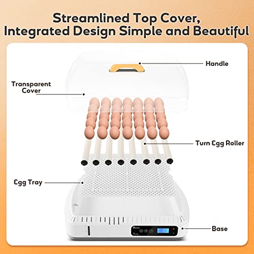 Sailnovo Smart Inkubator Stabilna kontrola temperature Silikonska kontrola vlage pogodna za 35 jaja