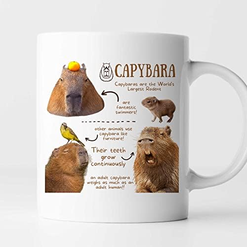 Todolia Capybara Fun Facts šolja za kafu, smiješna šolja za Kapibaru, slatka šolja za čaj od Kapibare, šolja za ljubavnike Kapibare, šolja za lepeze Kapibare, poklon od keramičke sjajne šolje za porodicu, prijatelje, saradnike - 11 Oz