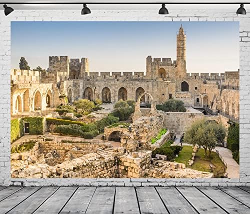 BELECO 10x6. 5ft tkanina Stari Grad Jerusalem pozadina Izrael Kula Davida pozadina David toranj drevne ruševine