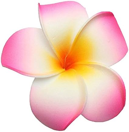 GSHLLO 10 kom 7cm Multicolor Havajska kopča za kosu za plažu Flower Flower Flowe za vjenčanje