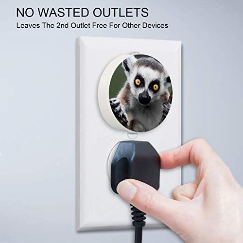Lemur Dusk to Dawn Automatsko uključivanje/isključivanje Senzorska svjetla za uštedu energije za bebe