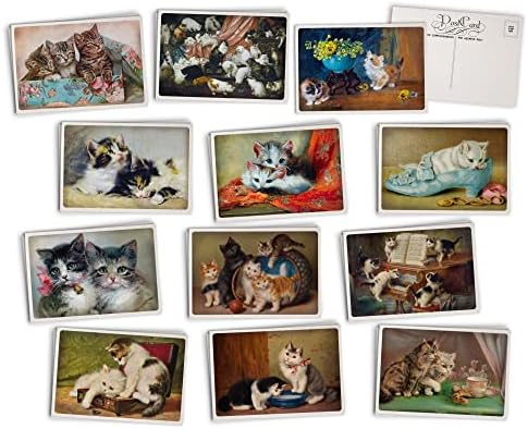 Collab Lab Antique Cat razglednice - 24 Vintage razglednice - 12 raznih Kitten Retro knjiga ilustracija
