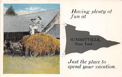 Summitville, New York Razglednica