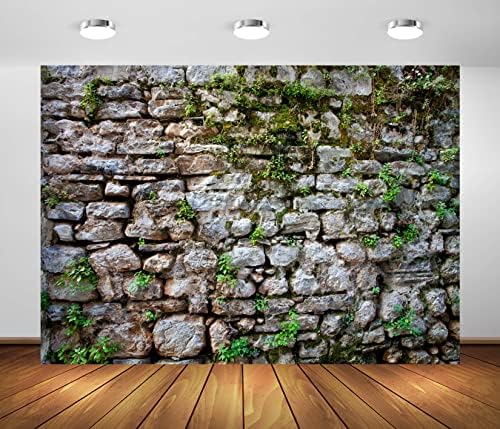 BELECO 20x10ft tkanina Vintage zid od opeke kameni zid pozadina za fotografiju obrasli zid drevni kameni