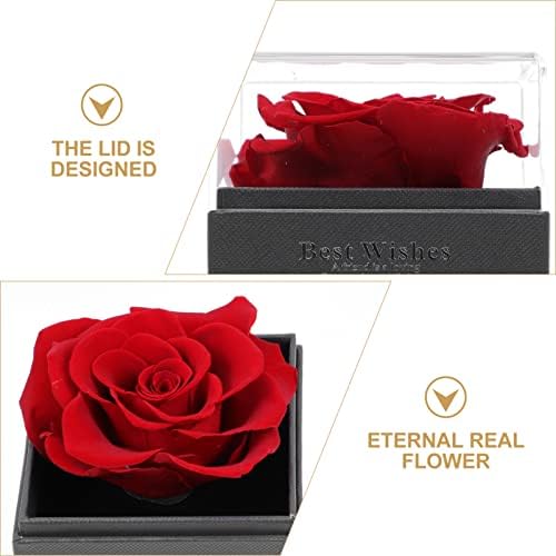 Cabilock Terrarium ručna kutija za ručno izrađena umjetna crvena ruža kutija sa laticom bez obzira na ružin